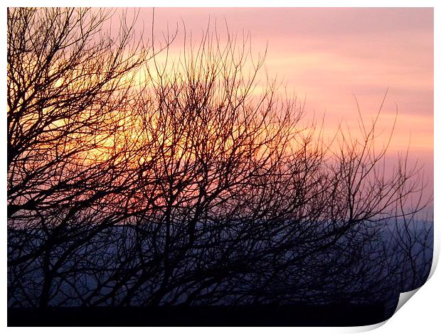 Spring Sunset through the bare trees Print by Bill Lighterness