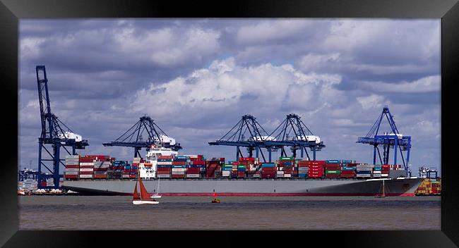 Felixstowe container docks Framed Print by David French