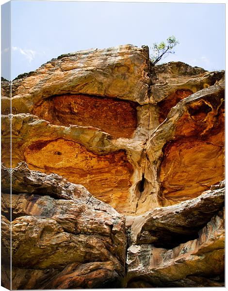 Tree of stone and wood Canvas Print by Jim Filmer