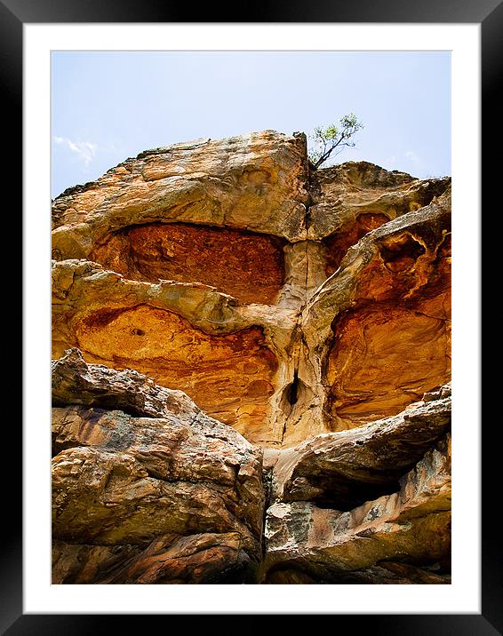 Tree of stone and wood Framed Mounted Print by Jim Filmer