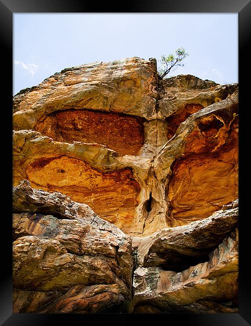 Tree of stone and wood Framed Print by Jim Filmer