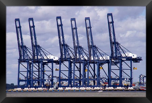 Felixstowe container docks Framed Print by David French