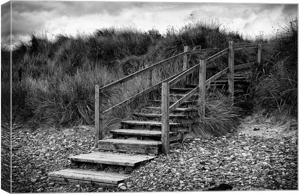 Steps To The Beach Canvas Print by David Pringle