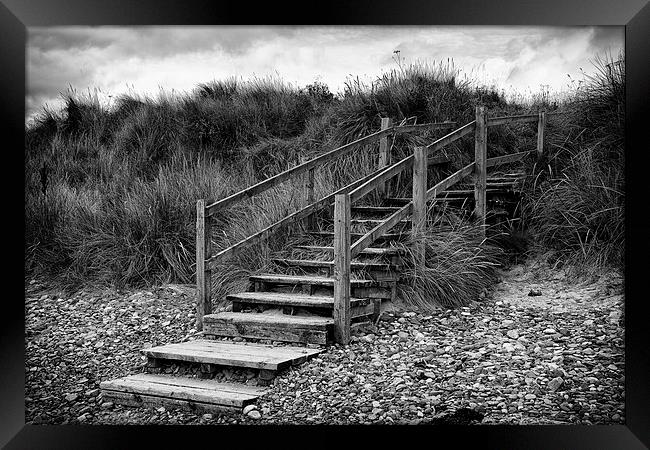 Steps To The Beach Framed Print by David Pringle