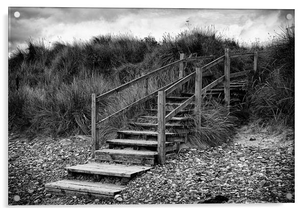 Steps To The Beach Acrylic by David Pringle