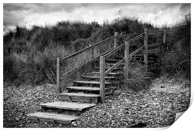 Steps To The Beach Print by David Pringle