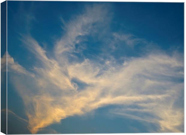 Evening sky Canvas Print by David Pyatt