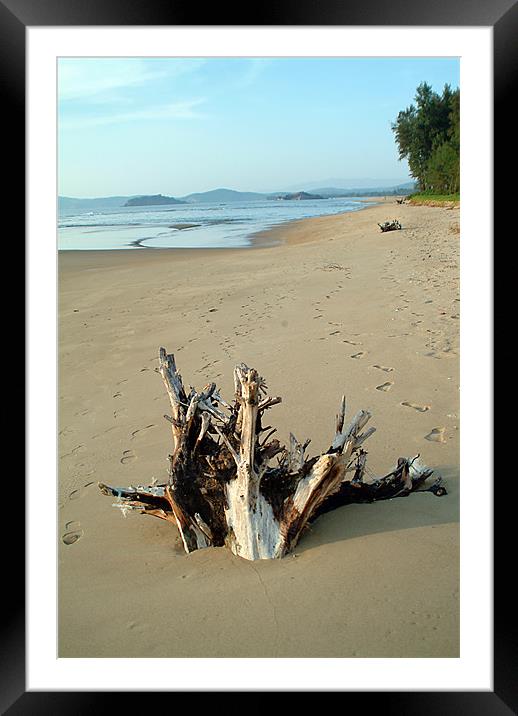 DRIFTWOOD Framed Mounted Print by Mal Taylor Photography