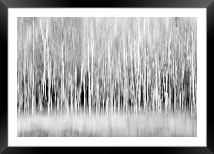 Forest Trees Abstract in Sepia Framed Mounted Print by Natalie Kinnear