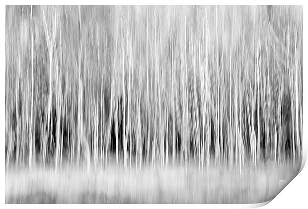 Forest Trees Abstract in Sepia Print by Natalie Kinnear