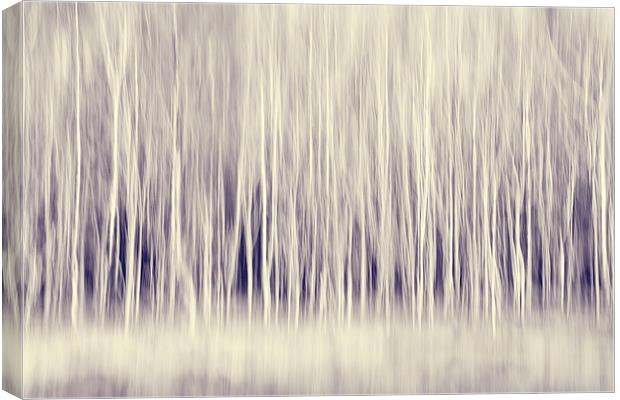 Forest Trees Abstract in Blue Ginger Canvas Print by Natalie Kinnear