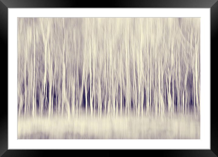 Forest Trees Abstract in Blue Ginger Framed Mounted Print by Natalie Kinnear