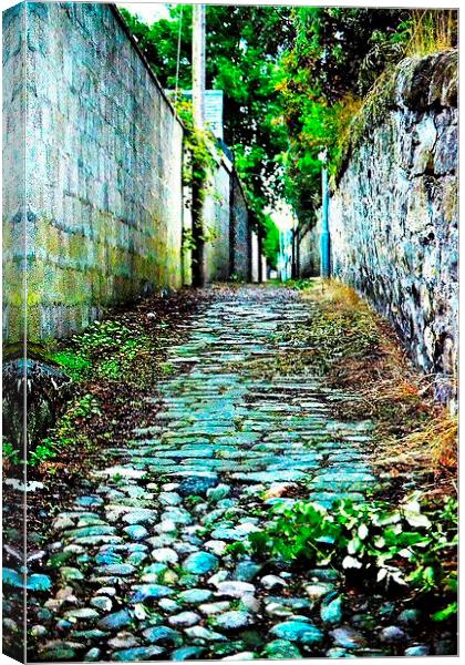 The mile lane. Canvas Print by  