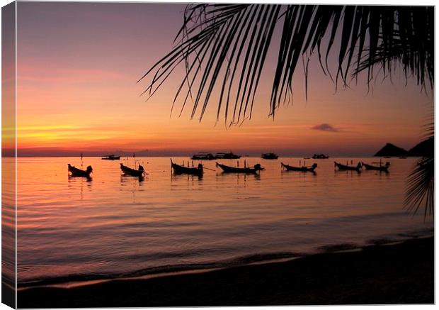 Thailand Sunset Canvas Print by Laura Kenny