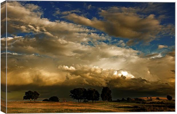 Theres a storm coming Canvas Print by richard downes