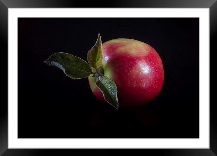 An Apple a Day Framed Mounted Print by Paul Holman Photography