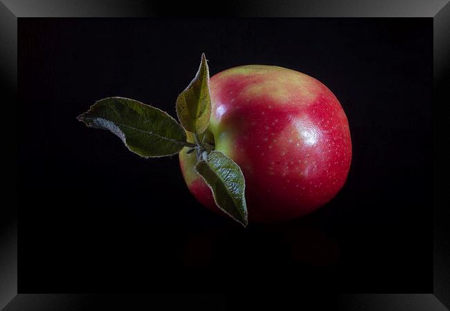 An Apple a Day Framed Print by Paul Holman Photography