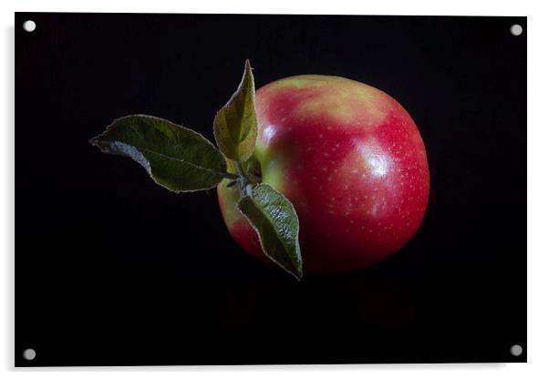 An Apple a Day Acrylic by Paul Holman Photography
