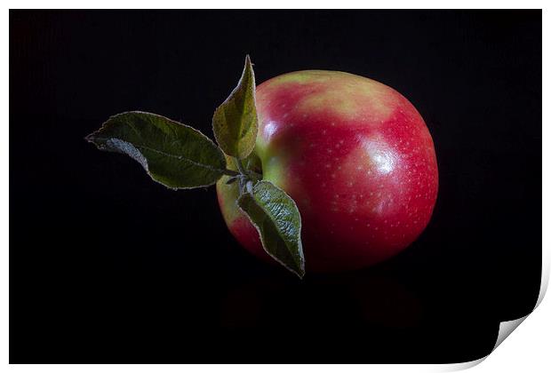 An Apple a Day Print by Paul Holman Photography