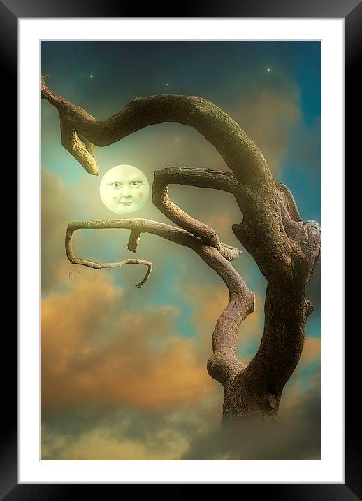 Sweet Dreams Framed Mounted Print by Christine Lake