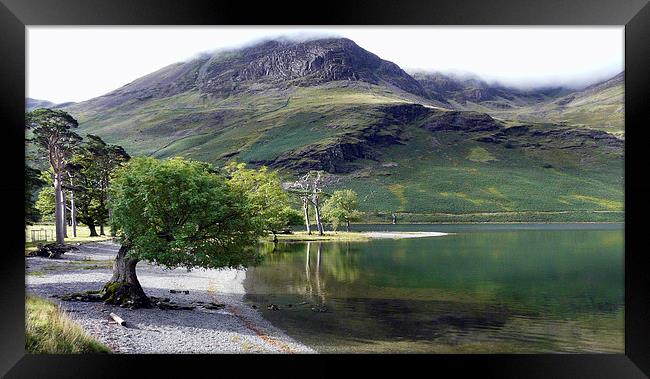 Lake Buttermere Cumbria Framed Print by Tony Bates