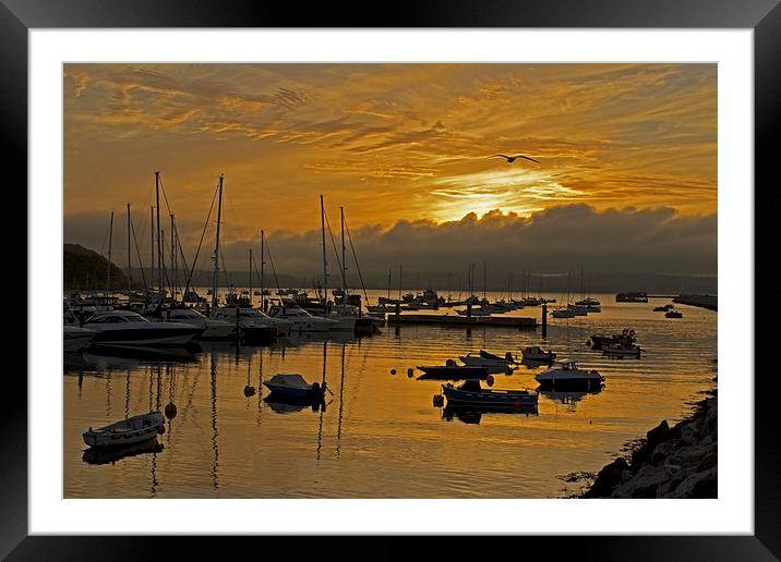 Golden harbour Framed Mounted Print by Steven Dunn-Sims