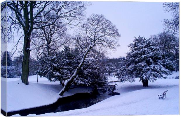 Buxton Snow Canvas Print by Laura Kenny