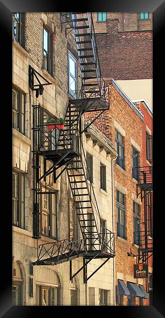 Fire escape Framed Print by Alan Pickersgill