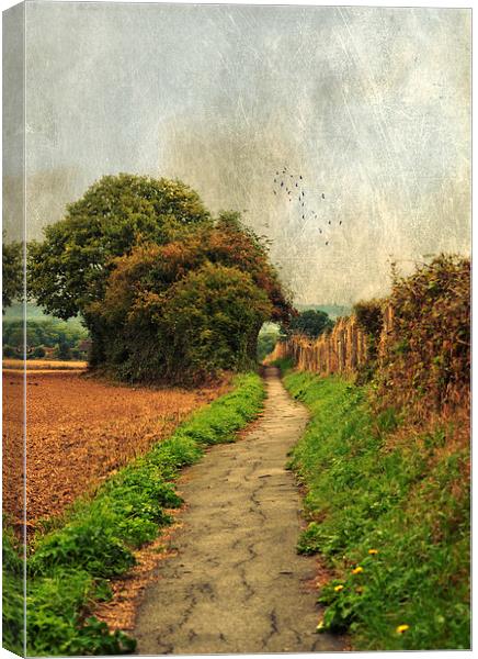 Country  Footpath Canvas Print by Dawn Cox