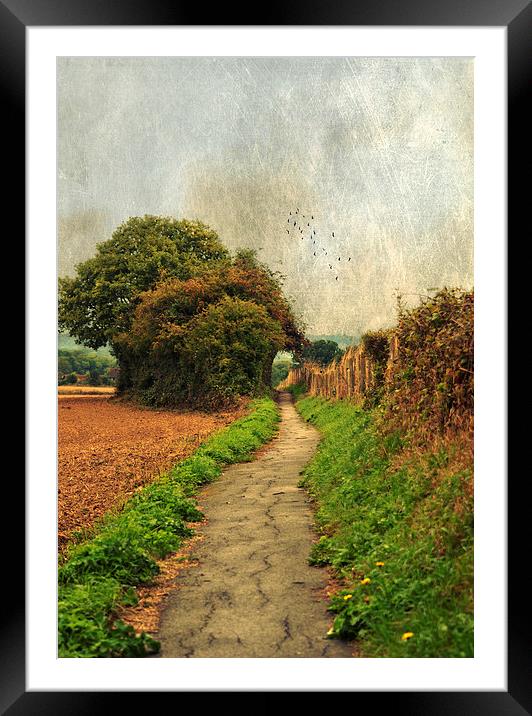 Country  Footpath Framed Mounted Print by Dawn Cox
