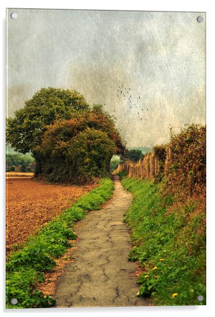 Country  Footpath Acrylic by Dawn Cox