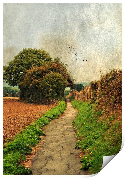 Country  Footpath Print by Dawn Cox