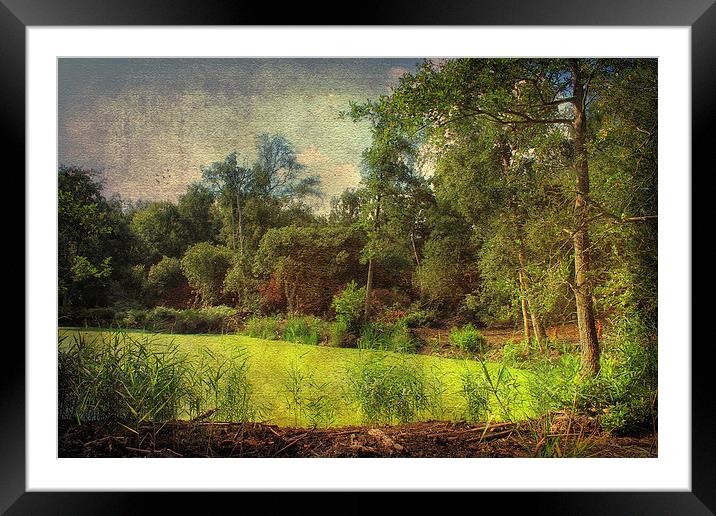 Rivers Edge Framed Mounted Print by Julie Coe
