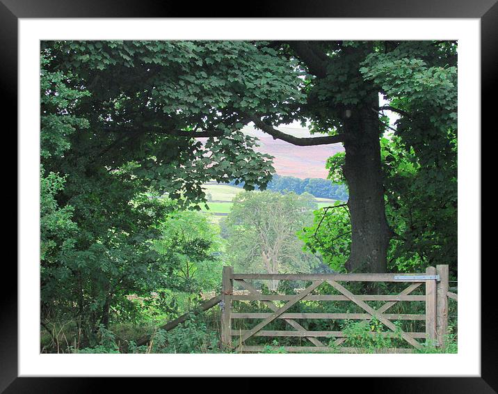 The countrysides View from the Gate Framed Mounted Print by Sylvia howarth