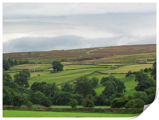 The Dales of yorkshire Print by Sylvia howarth