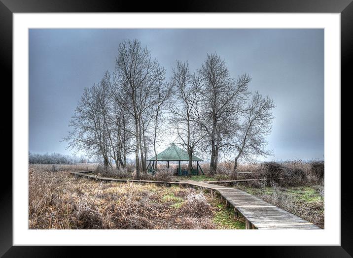 Frosty shelter in the reeds Framed Mounted Print by Levente Baroczi