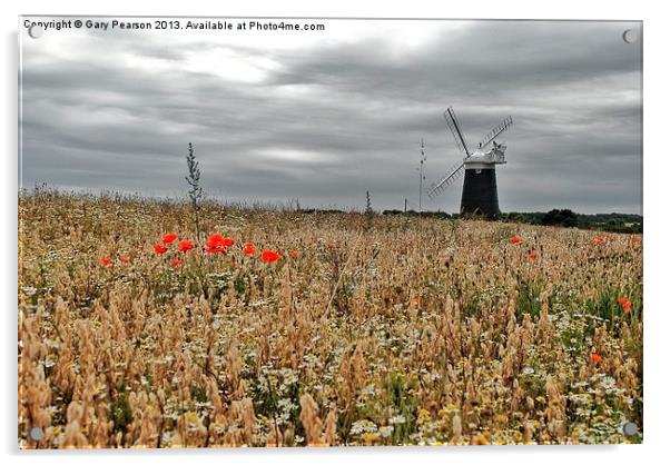 Burnham Overy Staithe Windmill Acrylic by Gary Pearson