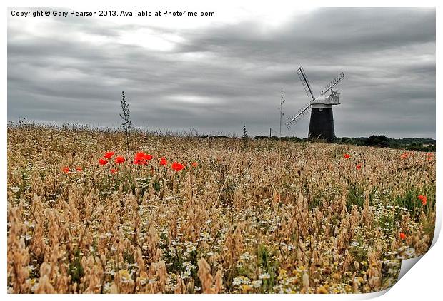 Burnham Overy Staithe Windmill Print by Gary Pearson