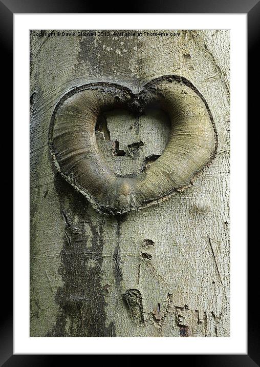Heart Of The Forest Framed Mounted Print by David Birchall