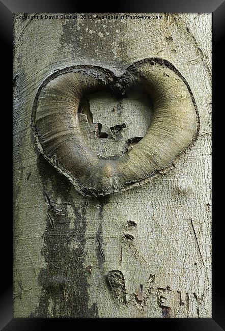 Heart Of The Forest Framed Print by David Birchall