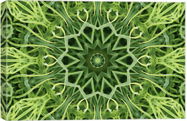 Green pattern Canvas Print by Ruth Hallam