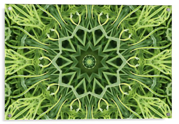 Green pattern Acrylic by Ruth Hallam