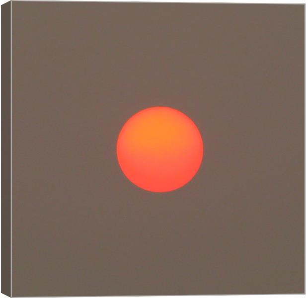 Sun Canvas Print by paramjot matharu