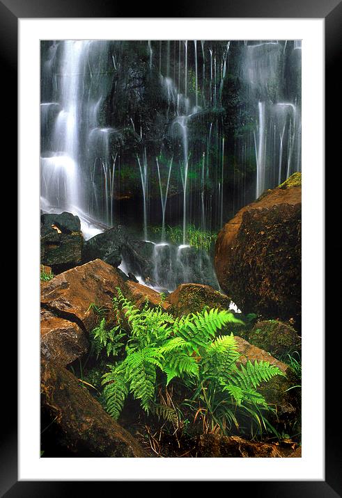 Waterfall and ferns Framed Mounted Print by Leighton Collins