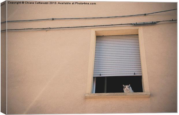 The cat in the window Canvas Print by Chiara Cattaruzzi
