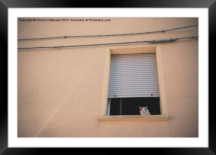 The cat in the window Framed Mounted Print by Chiara Cattaruzzi