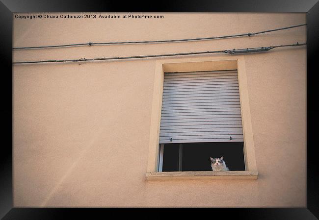The cat in the window Framed Print by Chiara Cattaruzzi