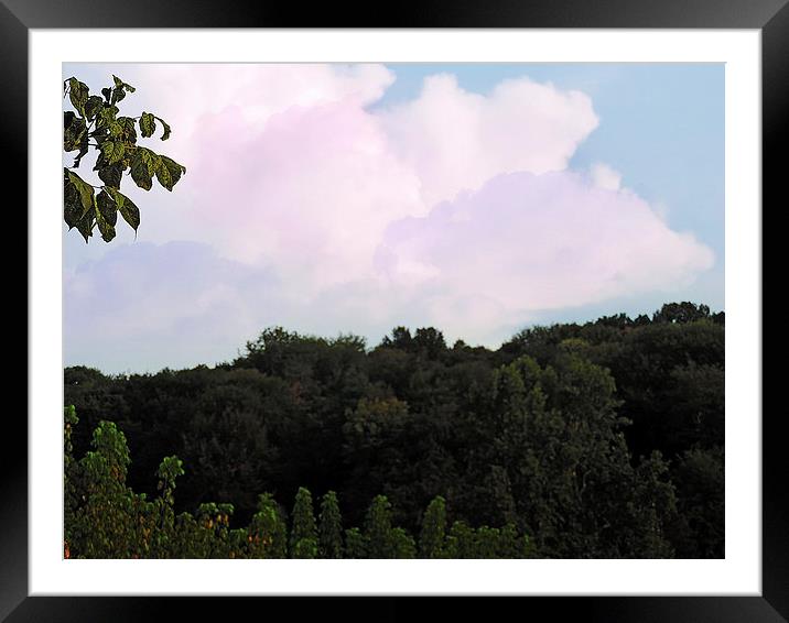 2181-forest and the clouds Framed Mounted Print by elvira ladocki