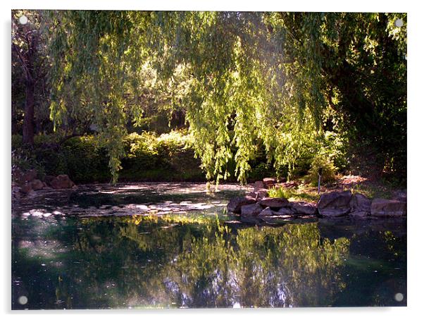 Dappled pond Acrylic by Alan Pickersgill