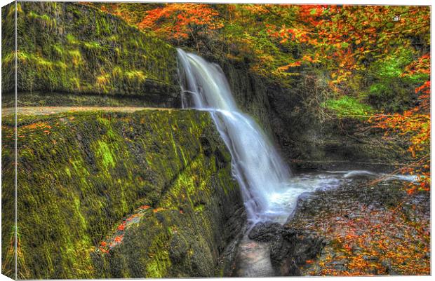 Autumn waterfalls Canvas Print by Leighton Collins